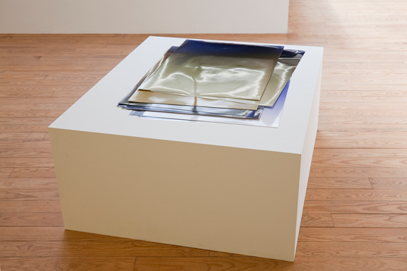 Pieter Vermeersch - Elisa Platteau Galerie - 2010